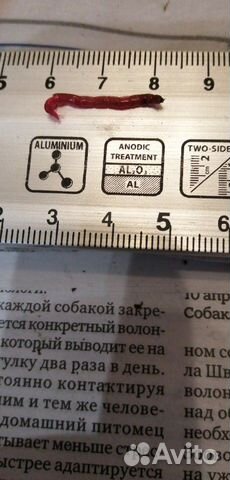 Мотыль крупный Мотыль крупный