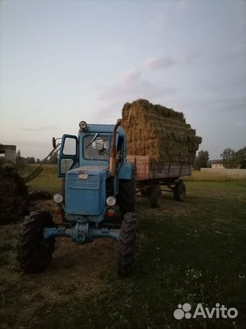 Продаю сено