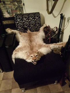 Ковёр. Цена за один