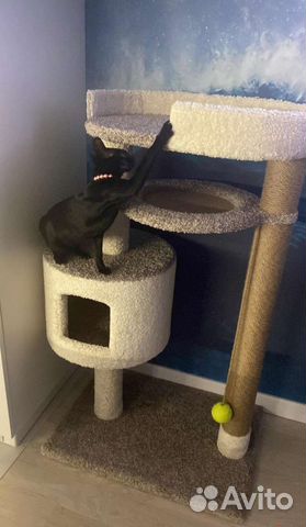 Домик для кошки с когтеточкой