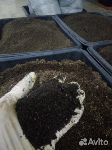 Биогумус - компост от червей, природное удобрение