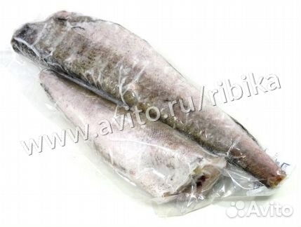 Купить Хек тушка потрошёная в рыбном магазине