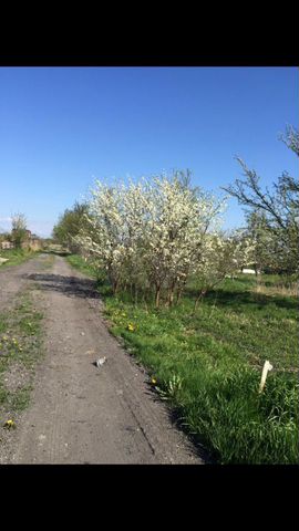 Участок 7 сот. (СНТ, ДНП)