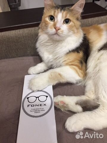 Оправа для очков