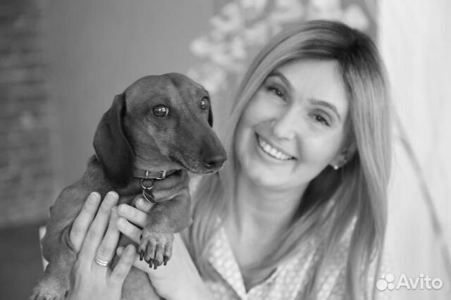 Грумер Стрижка собак