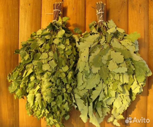 Березовый веник