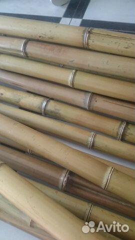 Бамбук в интерьере