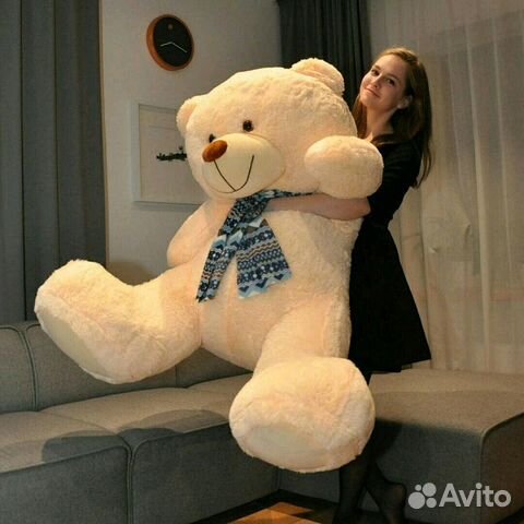 Большие мишки РФ