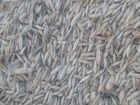 Отходы пшеницы объявление продам
