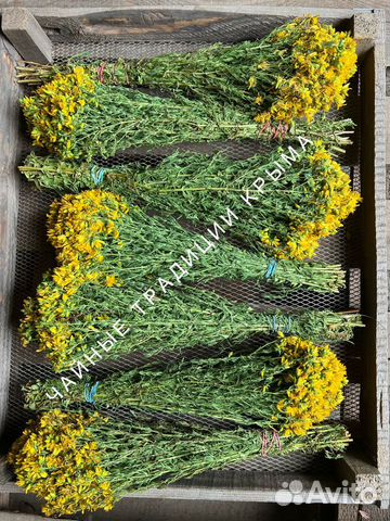 Зверобой сушенный