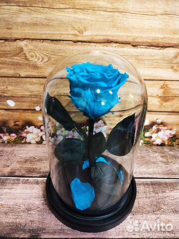 Роза в колбе подарок любимым