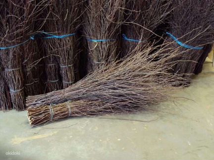 Метёлки берёзовые