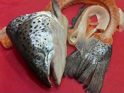 Рыбные наборы из лосося
