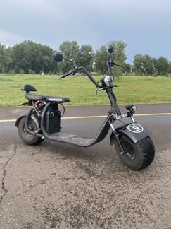 White Siberia WS PRO Ligh