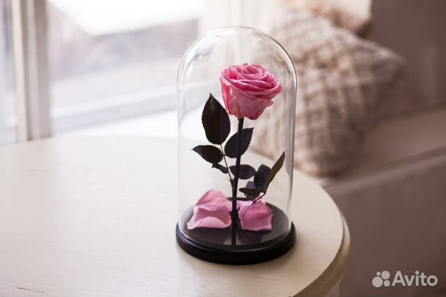 Роза в колбе 