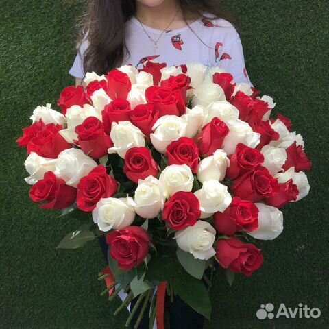 55 красно-белых роз 50 см (Эквадор)