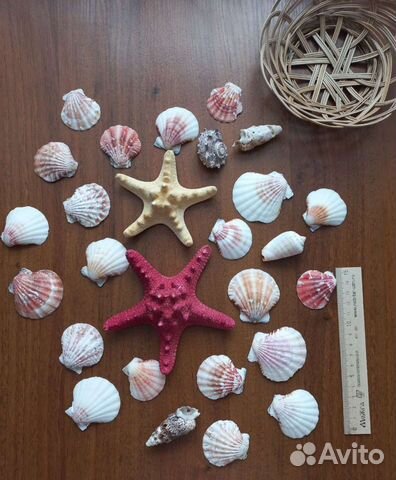 Ракушки и морские звезды