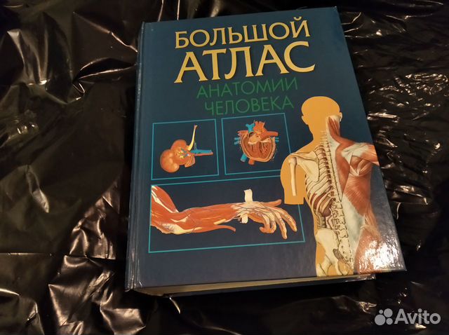 Большой атлас анатомии человека