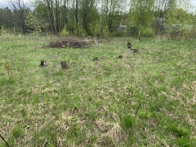 Участок 10 сот. (СНТ, ДНП)