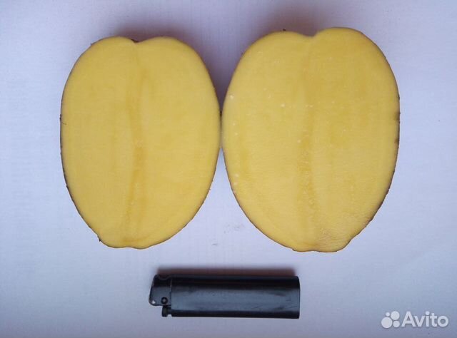 Деревенский картофель с доставкой до квартиры