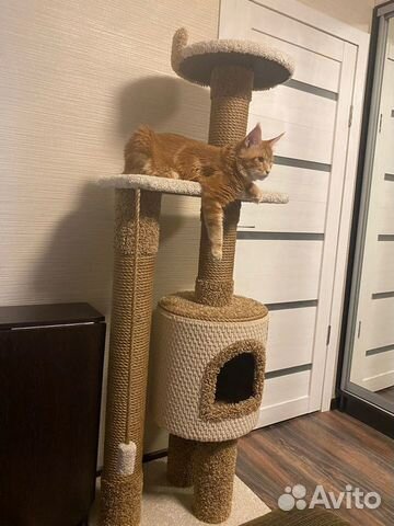 Домик - когтеточка, лежанка для котов(кошек) новый