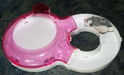 Хомяк Zhu Zhu Pets Жу Жу Петс с треком