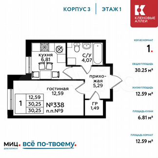 1-к квартира, 30.3 м², 1/17 эт.