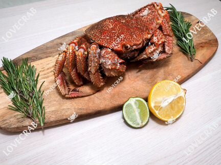 Краб Волосатик