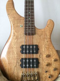 Sandberg Ken Taylor 4