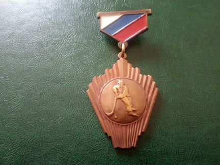 Федерация хоккея с мячом Россия