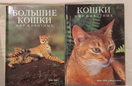 Кошки. Книги