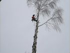 Удаление деревьев,измельчитель веток Переславль объявление продам