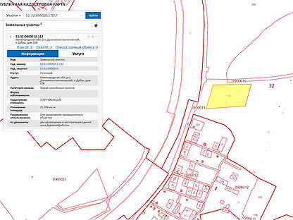 Дальнее константиново нижегородская область карта спутник