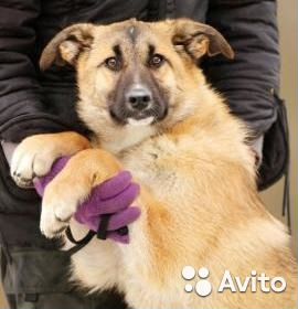 Девочка Йося- молоденькая и достаточно активная