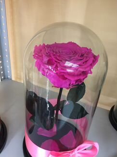 Роза в колбе, премиум