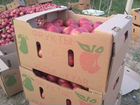 Яблоки из Киргизии объявление продам