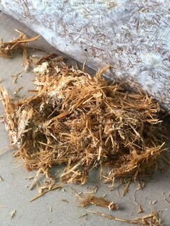 Грибная мульча, удобрение, солома, блоки