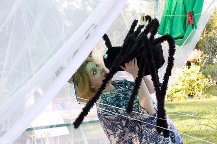 Паук для праздника/вечеринки (продажа, аренда)