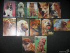 Карманные календарики Собаки 1991-95, 2013 гг