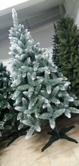 Елка голубая с шишками