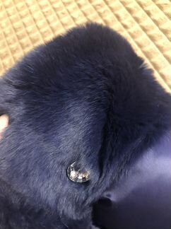 Куртка зимняя. Пальто зимнее. Пуховик