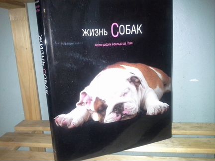 Аральдо Де Лука. Жизнь собак. Фотоальбом