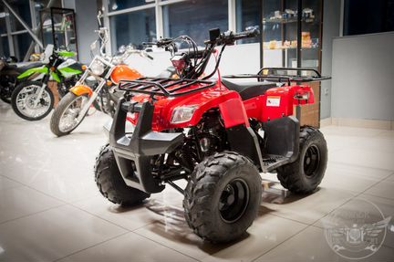 Квадроцикл Motoland Rider 110 в магазине 