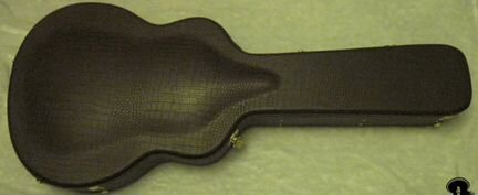 Кейс Taylor GS №22