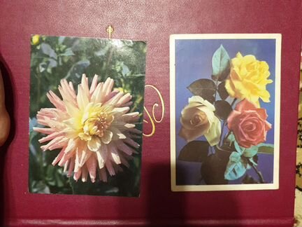 Открытки Цветы СССР 1970-80е
