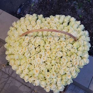 Розы, Букеты Цветы 25 51 151 201 501 101