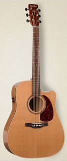 033768 cwgt Cedar QIT Электро-акустическая гитара