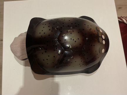 Ночник черепашка