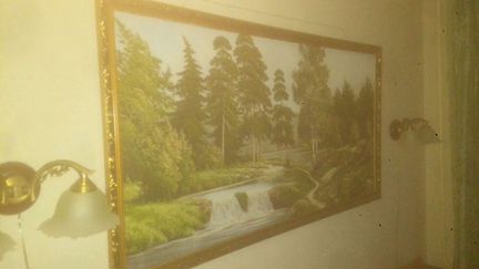 Картина из ткани