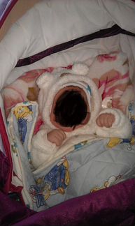 Комбинезон